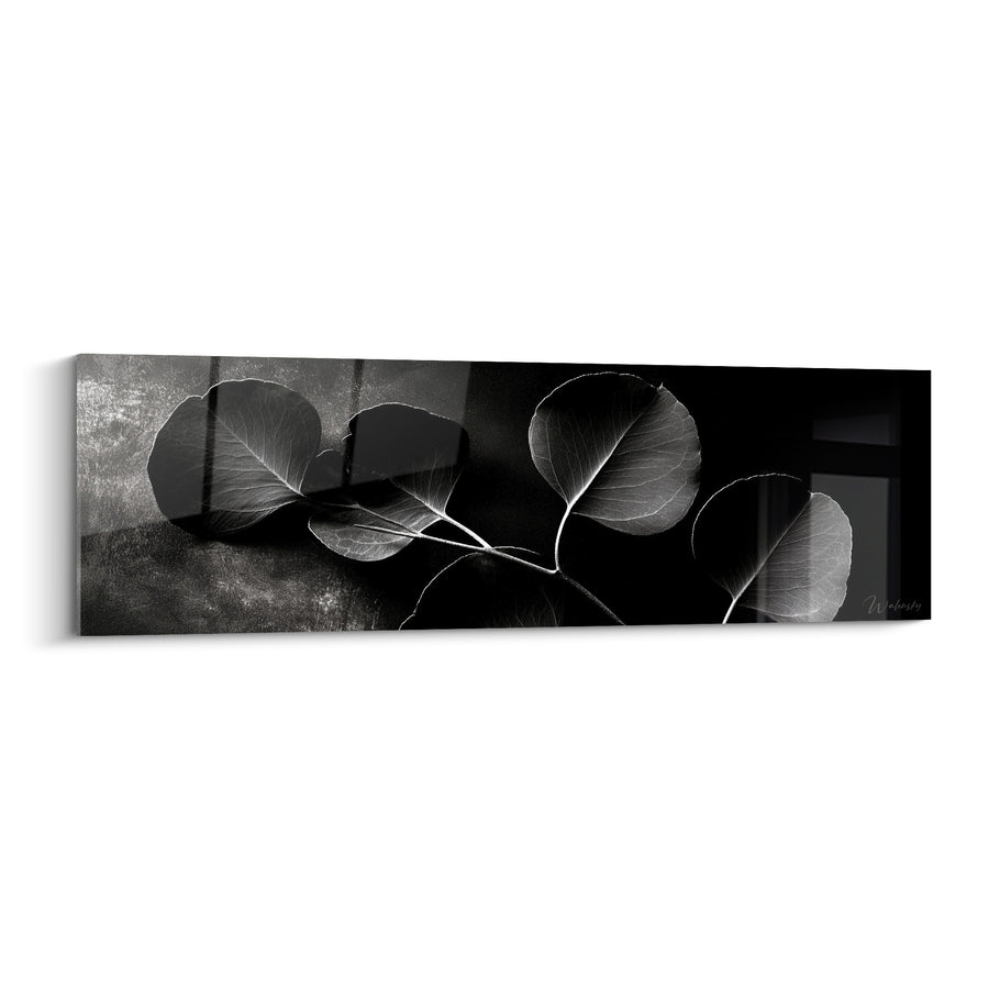 Tableau Feuilles rondes noires et grises aux nervures lumineuses - Branche minérale texturée - Edition Eucalyptus
