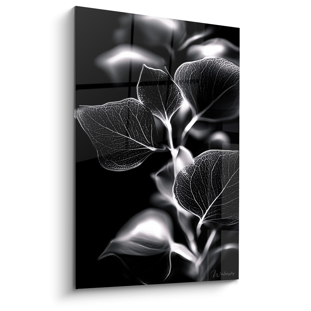 Branche d'eucalyptus noire et blanche aux nervures lumineuses sur fond anthracite