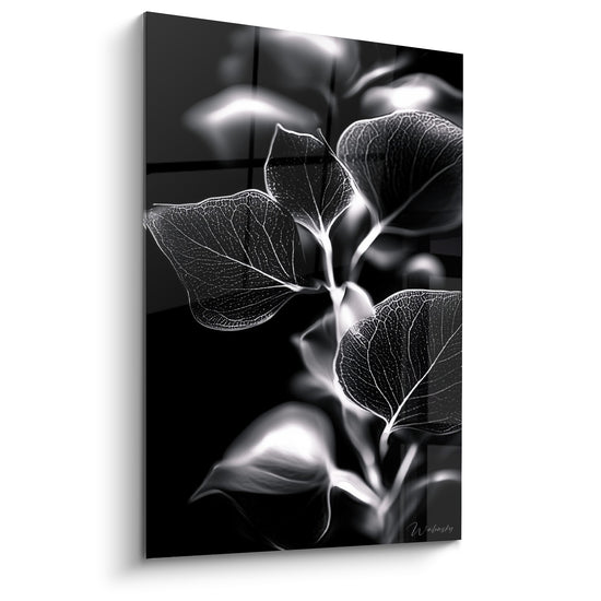 Tableau Feuilles noires et blanches nervurées lumineuses - Anatomie végétale - Edition Eucalyptus