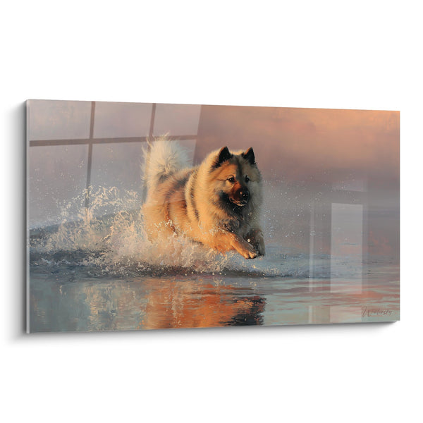 Tableau Eurasier Sautant dans l'Eau avec Éclaboussures Dorées - Dynamisme Aquatique - Edition Eurasier