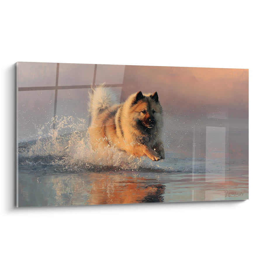 Tableau Eurasier Sautant dans l'Eau avec Éclaboussures Dorées - Dynamisme Aquatique - Edition Eurasier
