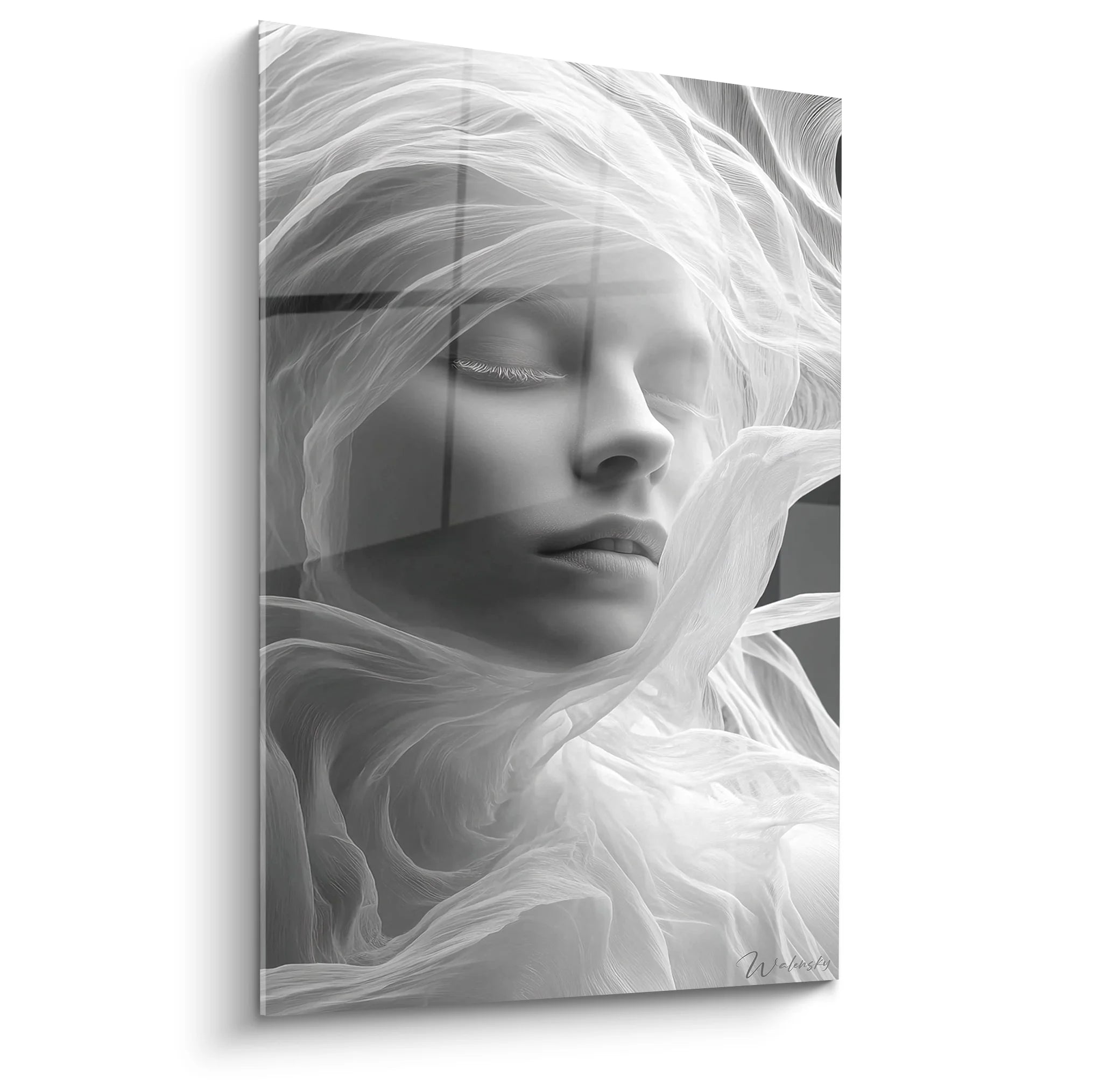 Tableau femme plumes noir et blanc art mural moderne portrait éthéré décoration sophistiquée