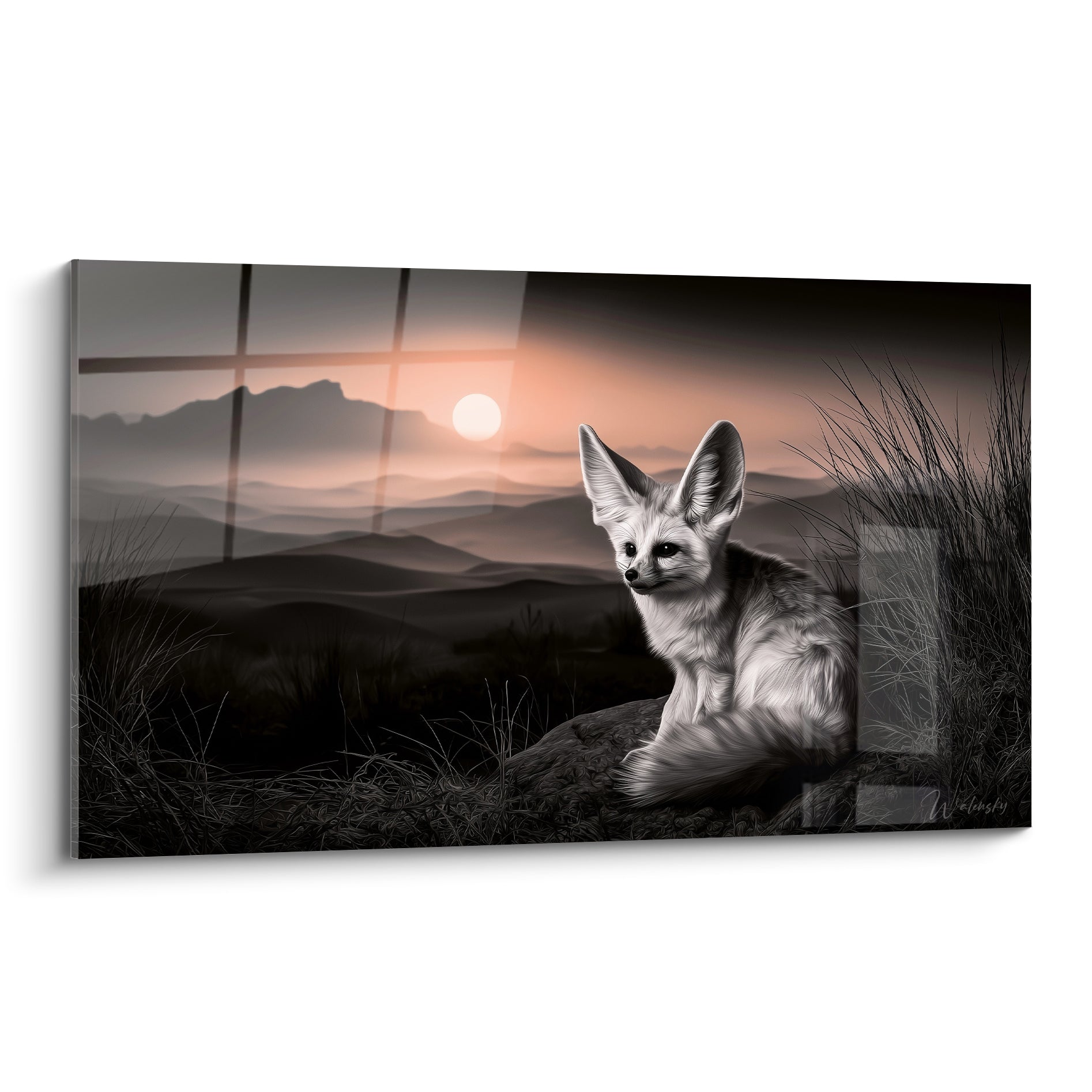 Fennec assis regarde l'horizon, pelage gris et blanc, ciel corail au coucher du soleil