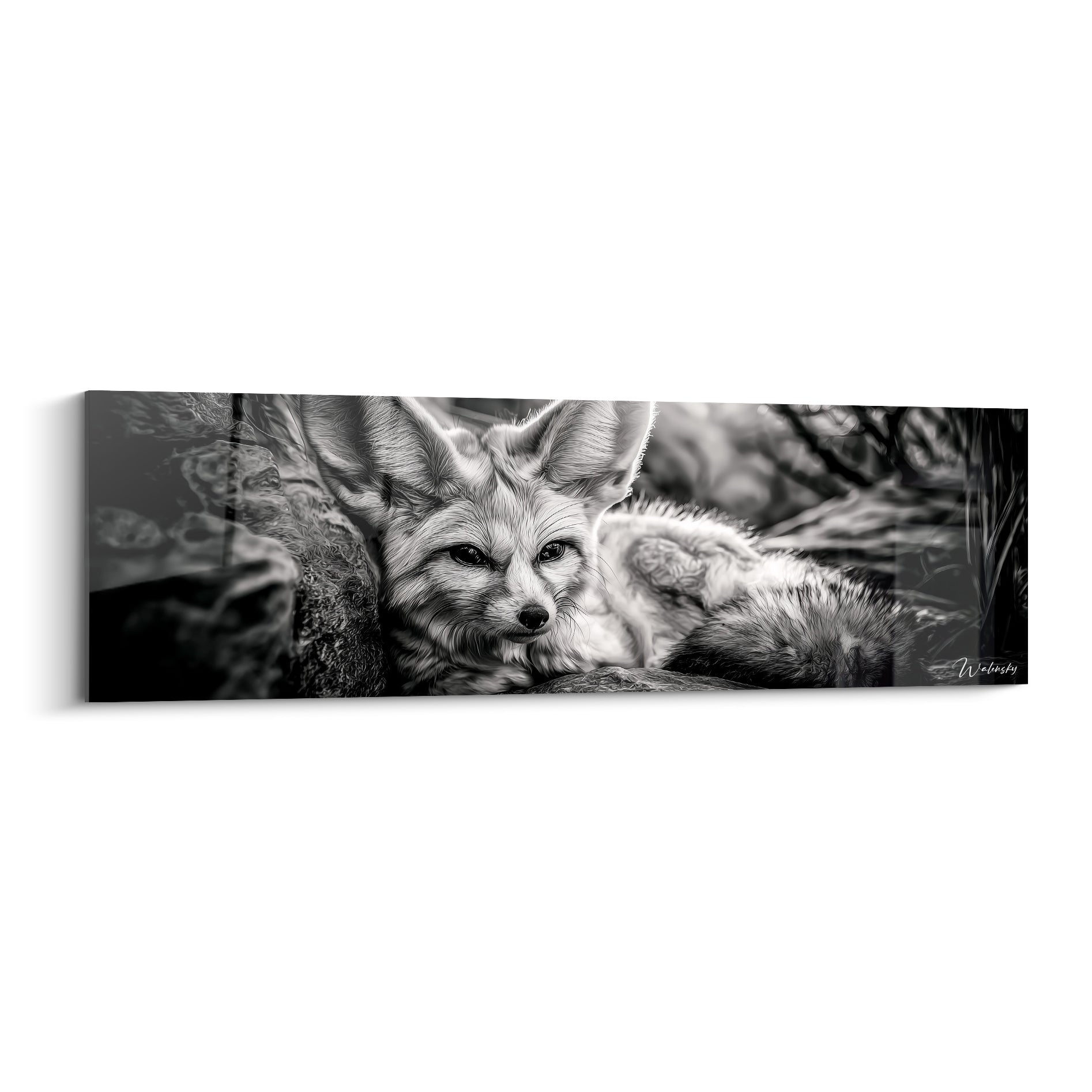 Fennec allongé, pelage blanc et gris anthracite, regard fixe, roche en noir et blanc