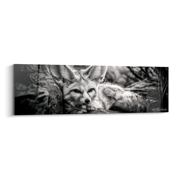 Tableau Fennec noir et blanc allongé sur roche - Vigilance au repos - Edition Fennec