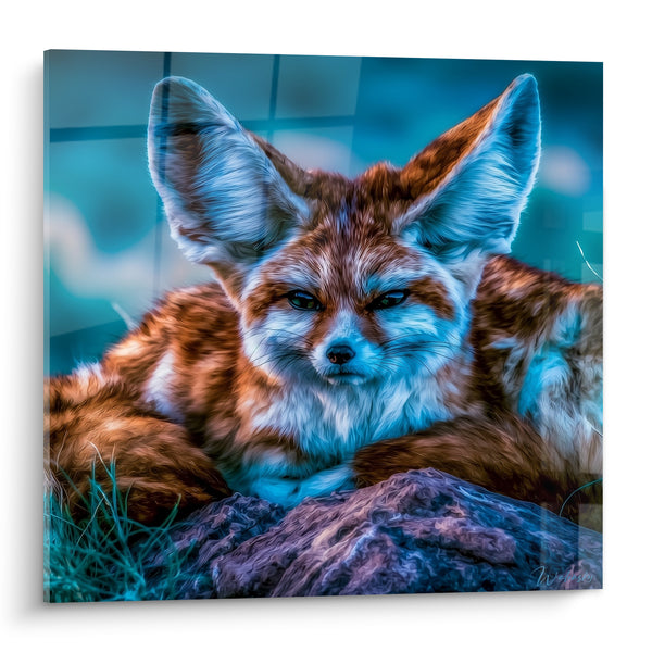 Tableau Fennec roux et bleu allongé sur un rocher - Regard félin perçant - Edition Fennec