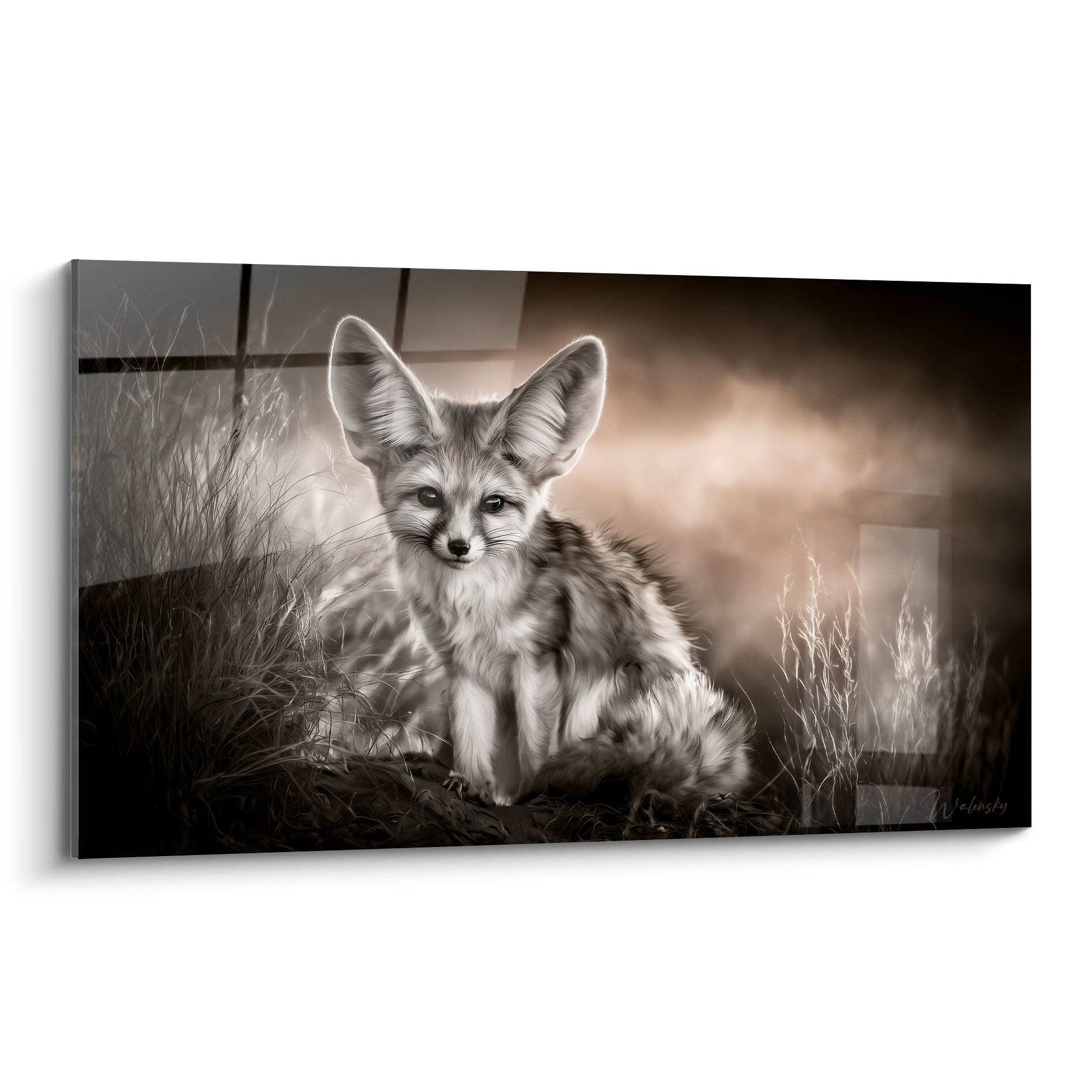 Fennec assis face à l'objectif, pelage blanc et anthracite, fond sépia flouté