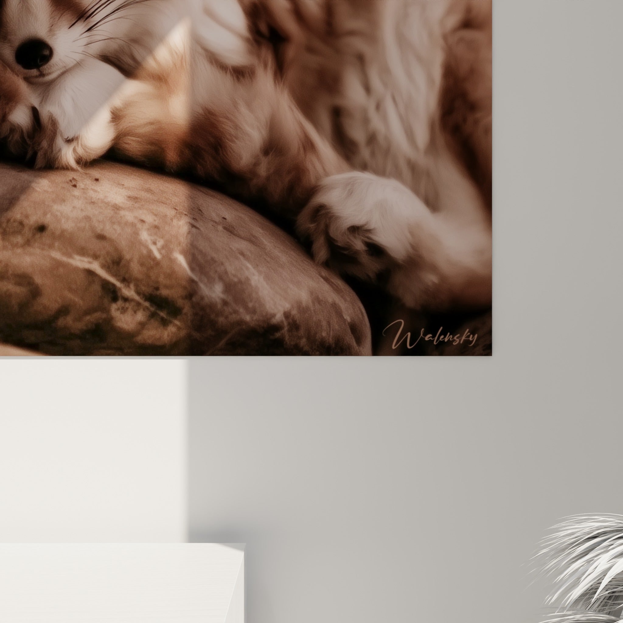 Texture du pelage brun et beige du Fennec, grain de l'impression et jeux de lumière rasante visibles