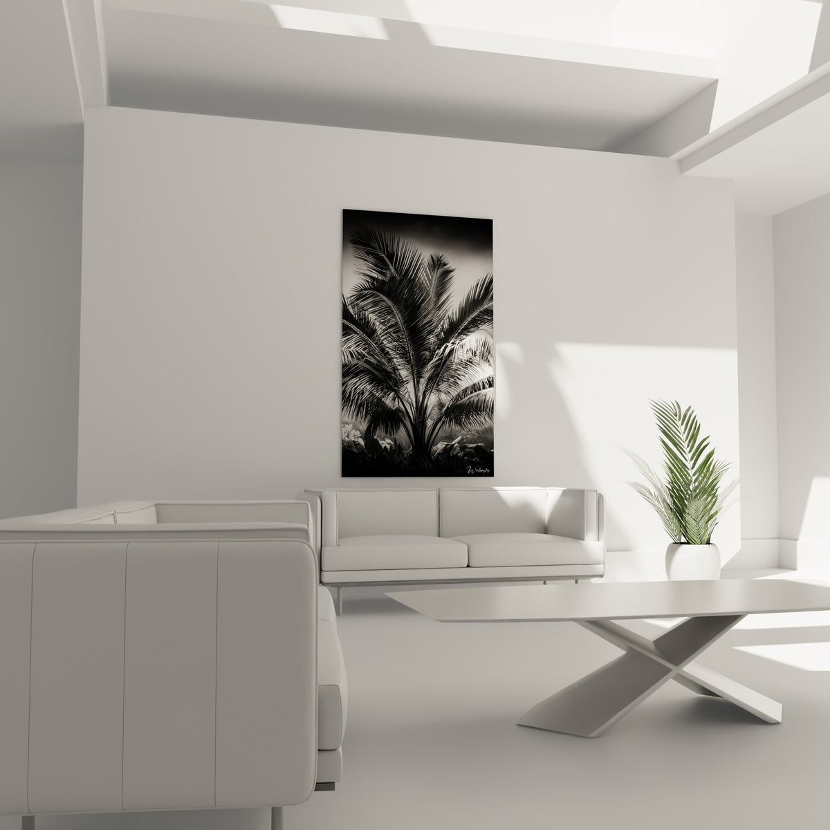 Frondes de palmier en clair-obscur gris et blanc accrochées au-dessus d'un canapé dans un salon lumineux