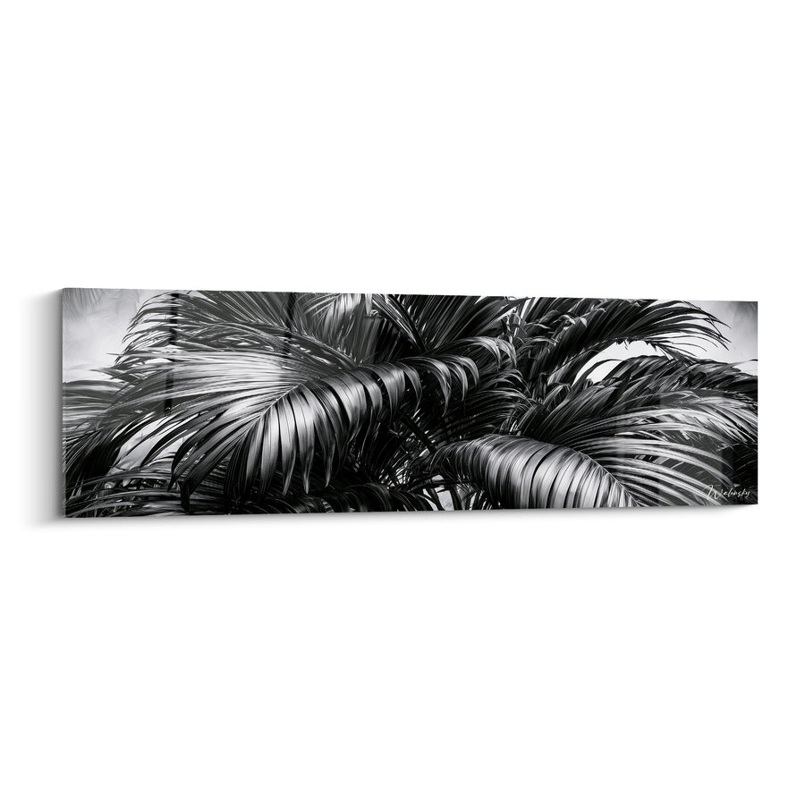 Tableau Palmier noir et blanc aux frondes denses - Jungle en clair-obscur - Edition Feuille de palmier