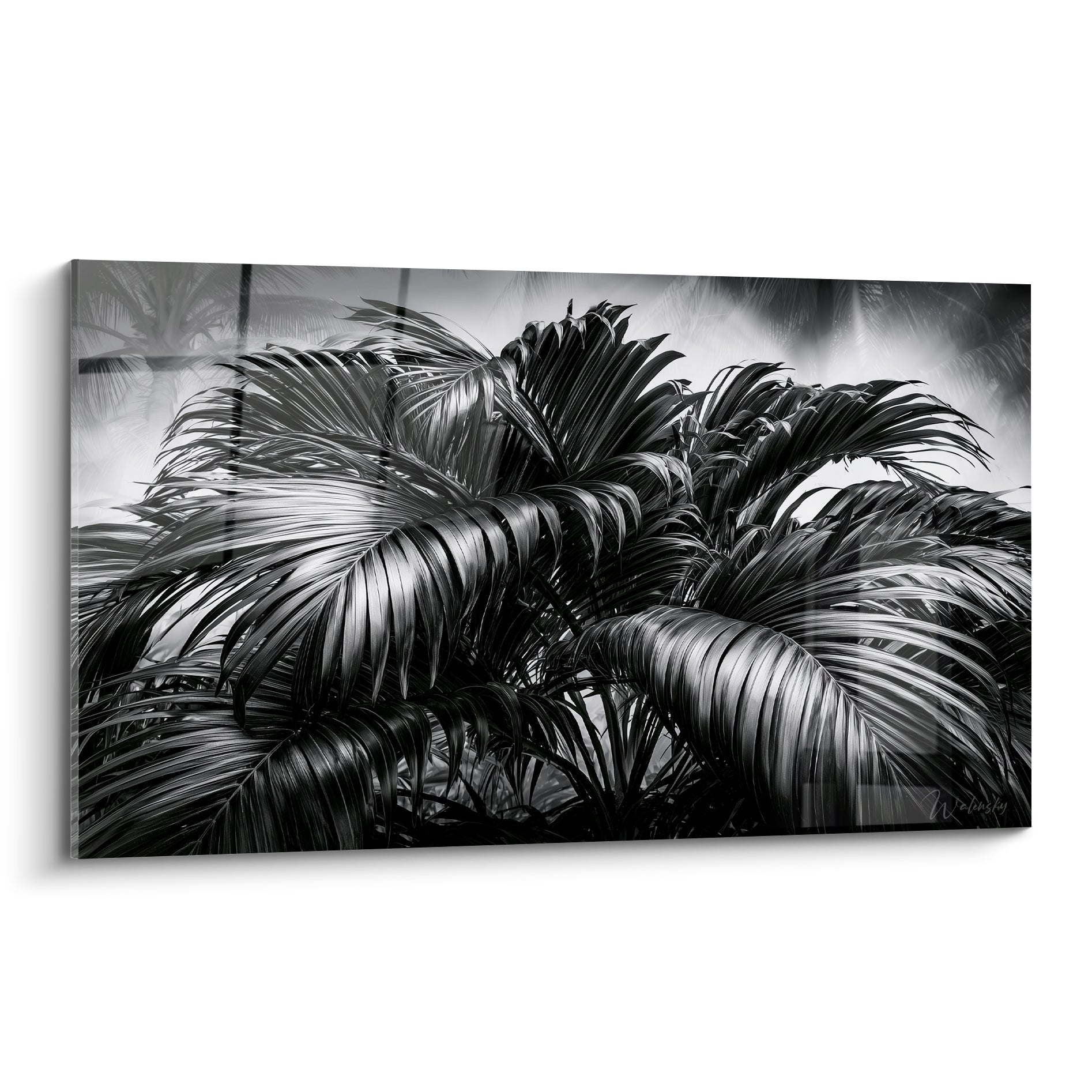 Palmes de feuille de palmier en noir et blanc, gris argenté et blanc laiteux, texture dense et graphique