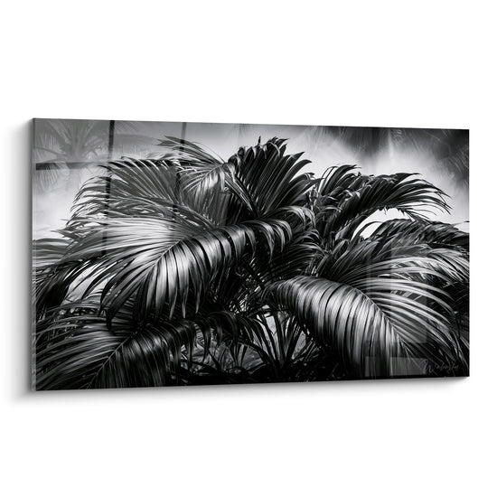 Palmes de feuille de palmier en noir et blanc, gris argenté et blanc laiteux, texture dense et graphique