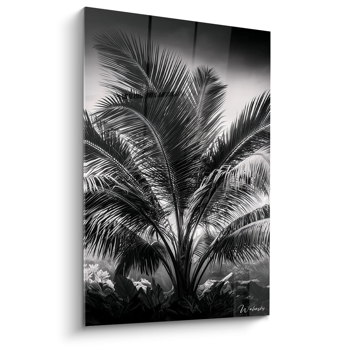 Feuille de palmier en noir et blanc aux frondes déployées, contraste gris anthracite et blanc lumineux