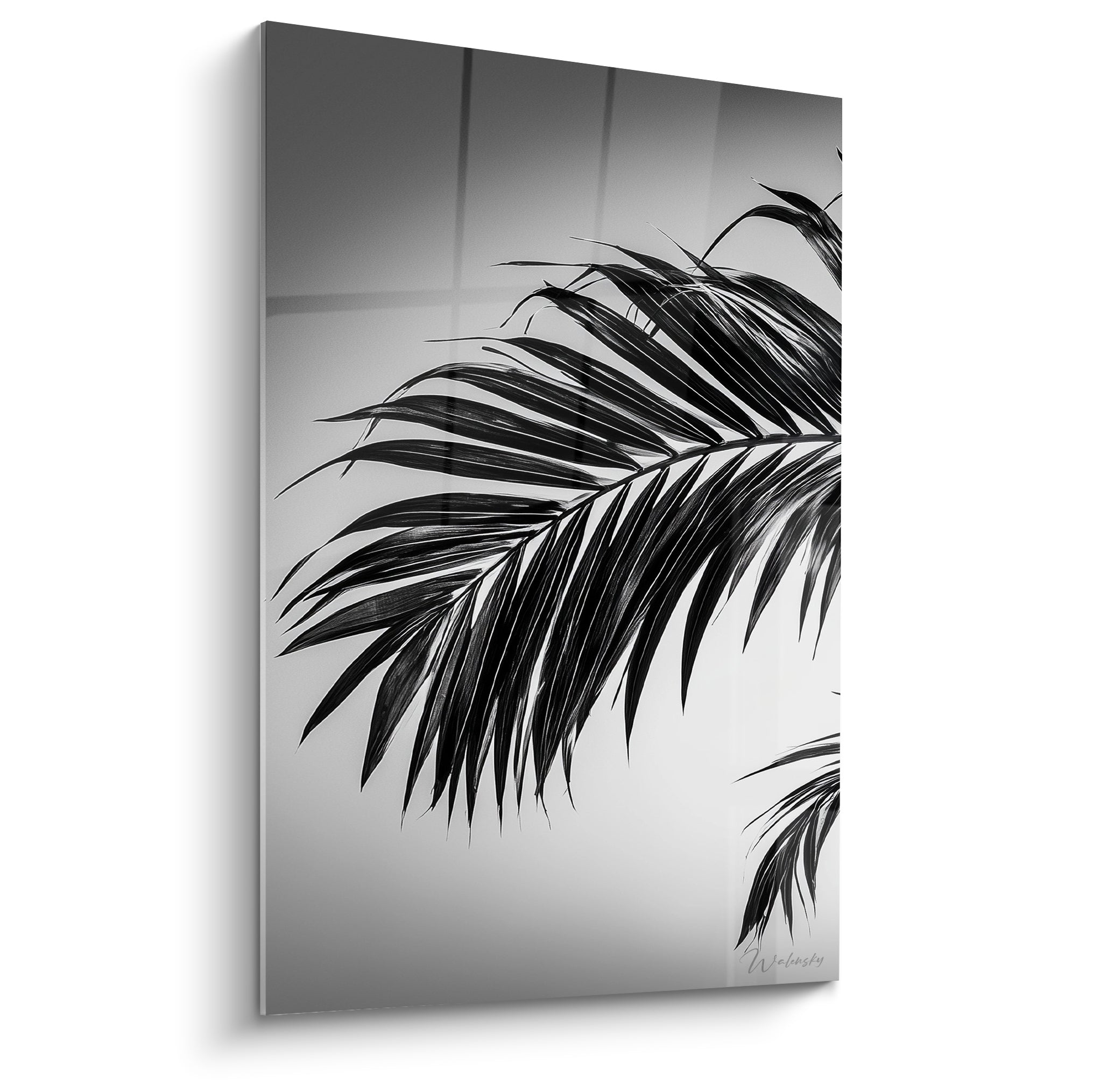 Palme noire aux nervures blanches se déployant sur un fond gris dégradé lumineux