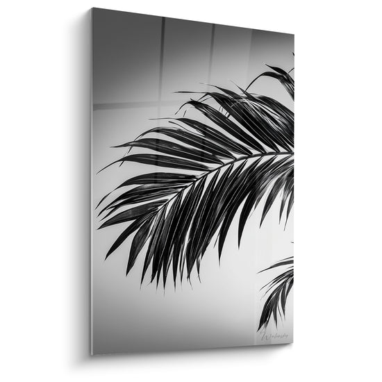 Tableau Palme noire aux fines nervures argentées - Ombre végétale - Edition Feuille de palmier