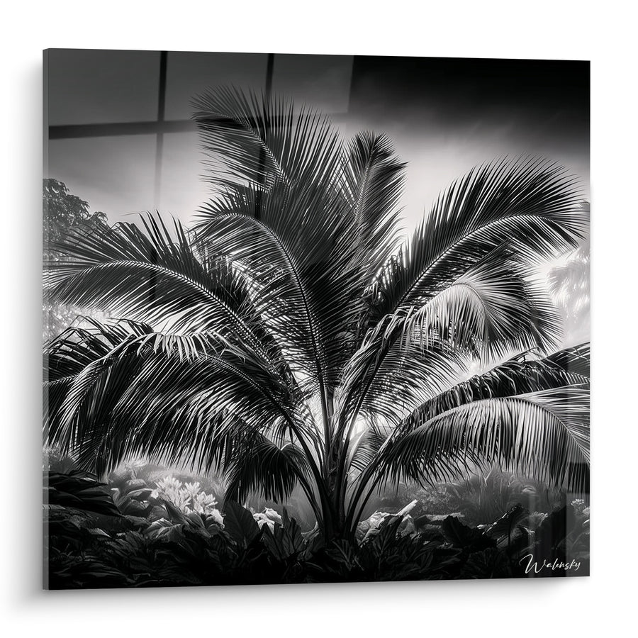 Tableau Palmier noir aux frondes argentées - Jardin d'ombre - Edition Feuille de palmier