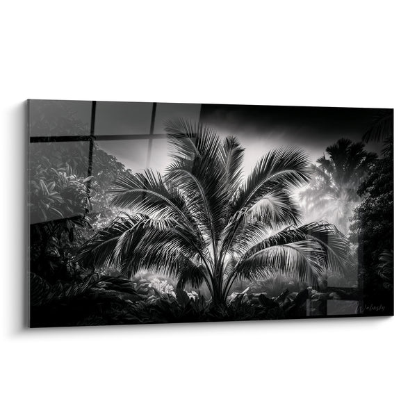 Tableau Palmier noir et blanc en serre vitrée - Reflets de verrière - Edition Feuille de palmier