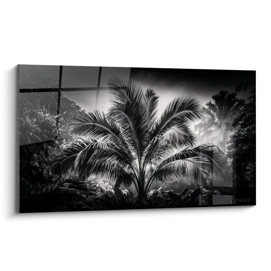Tableau Palmier noir et blanc en serre vitrée - Reflets de verrière - Edition Feuille de palmier
