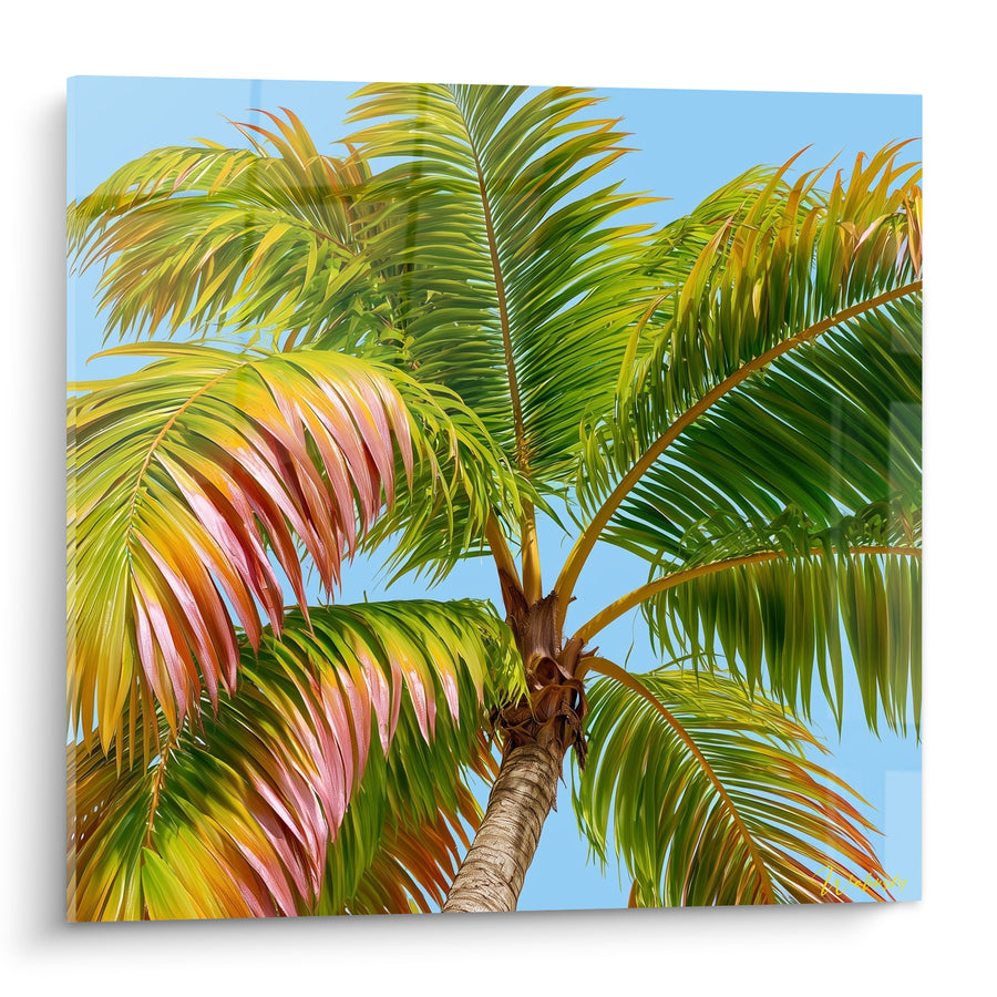 Tableau Palmier vert et rose sous ciel bleu - Évasion tropicale - Edition Feuille de palmier