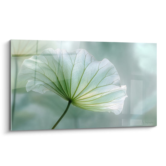 Tabel Blad Transparant met Delicate Nerven op Pastelgroene Achtergrond - Vegetale Transparantie - Editie Waterlelie
