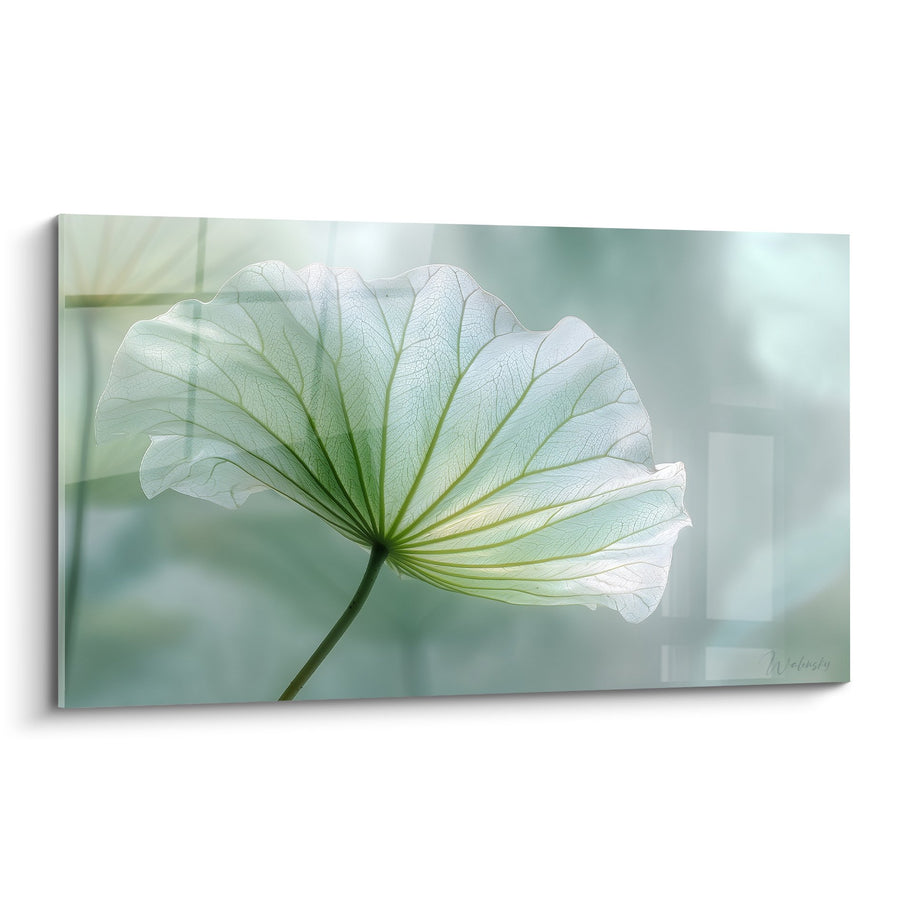 Tableau Feuille Translucide aux Nervures Délicates sur Fond Vert Pastel - Transparence Végétale - Edition Nénuphare