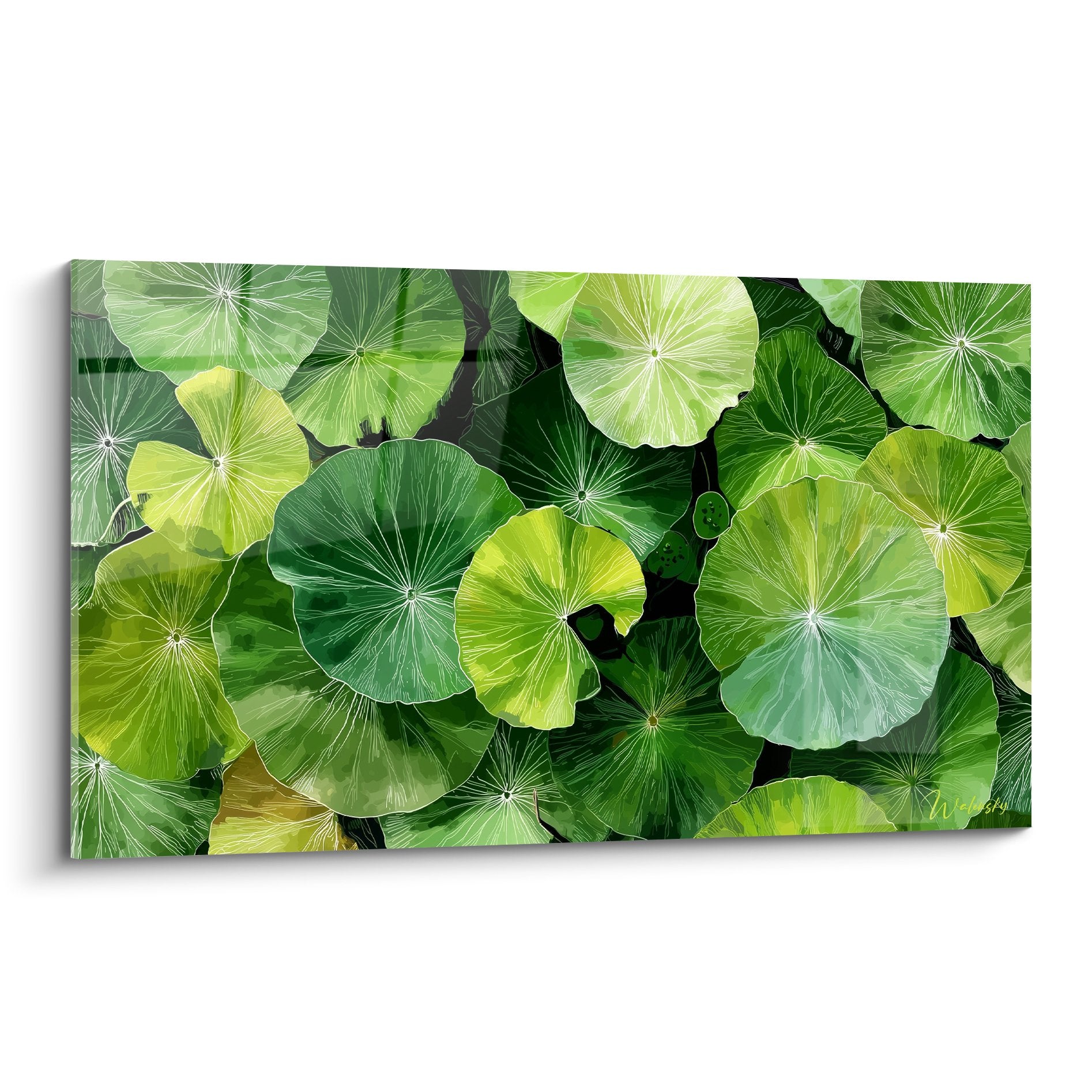 Tableau feuilles de lotus vertes avec nervures blanches vue plongee jardin aquatique edition nenuphar
