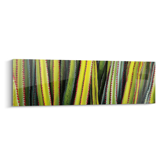 Gemälde Grüne und rote Blätter Geometrisch Panorama - Abstrainer Dschungel - Kubismus-Edition