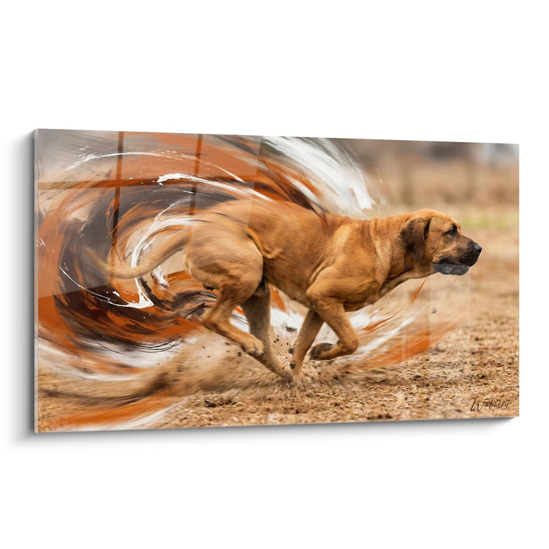 Tableau Chien en Mouvement Dynamique avec Effets Tourbillonnants - Puissance en Action - Edition Fila Brasileiro