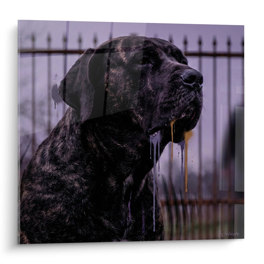 Tableau Chien Noir Bavant Portrait Majestueux - Regard Intense - Edition Fila Brasileiro