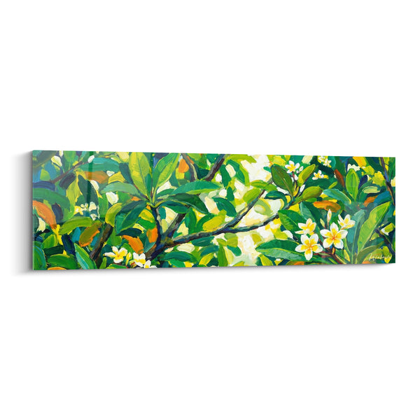 Frangipanier vert et blanc sous la lumière - Lumière tropicale - Edition Fleur