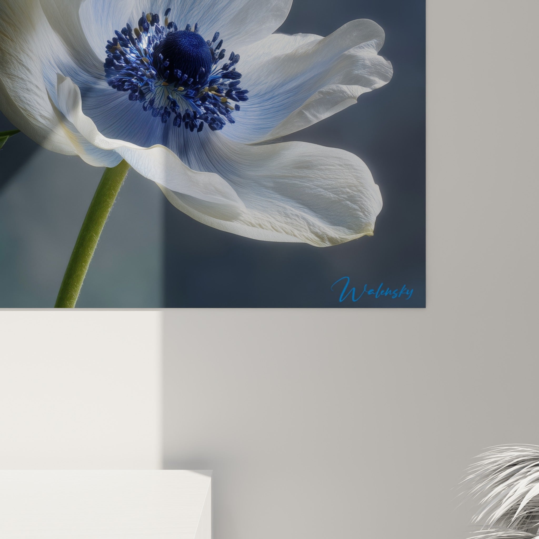 Grain et nuances de bleu marine des étamines d'anémone visibles de près sur la toile blanche