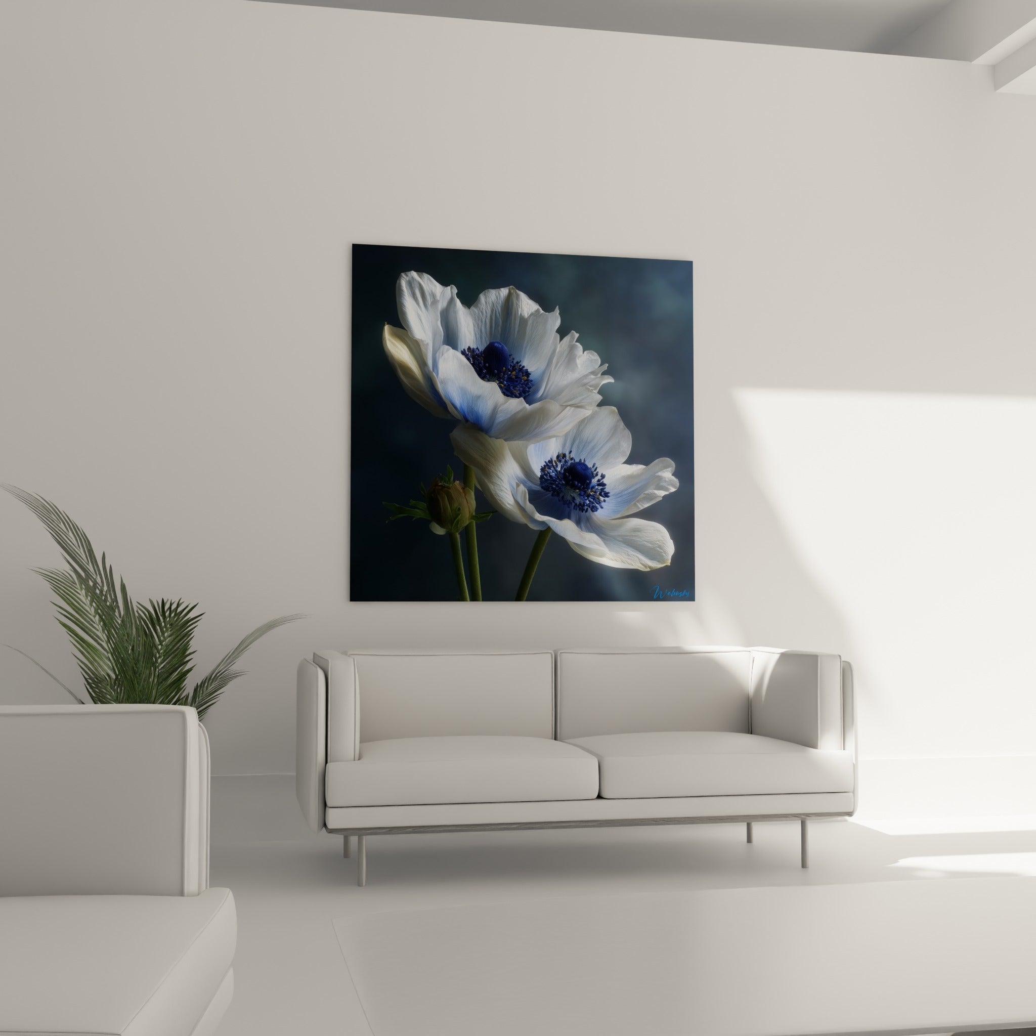 Fleurs d'anémone blanches et bleu marine en pleine lumière au-dessus d'un canapé dans un salon lumineux