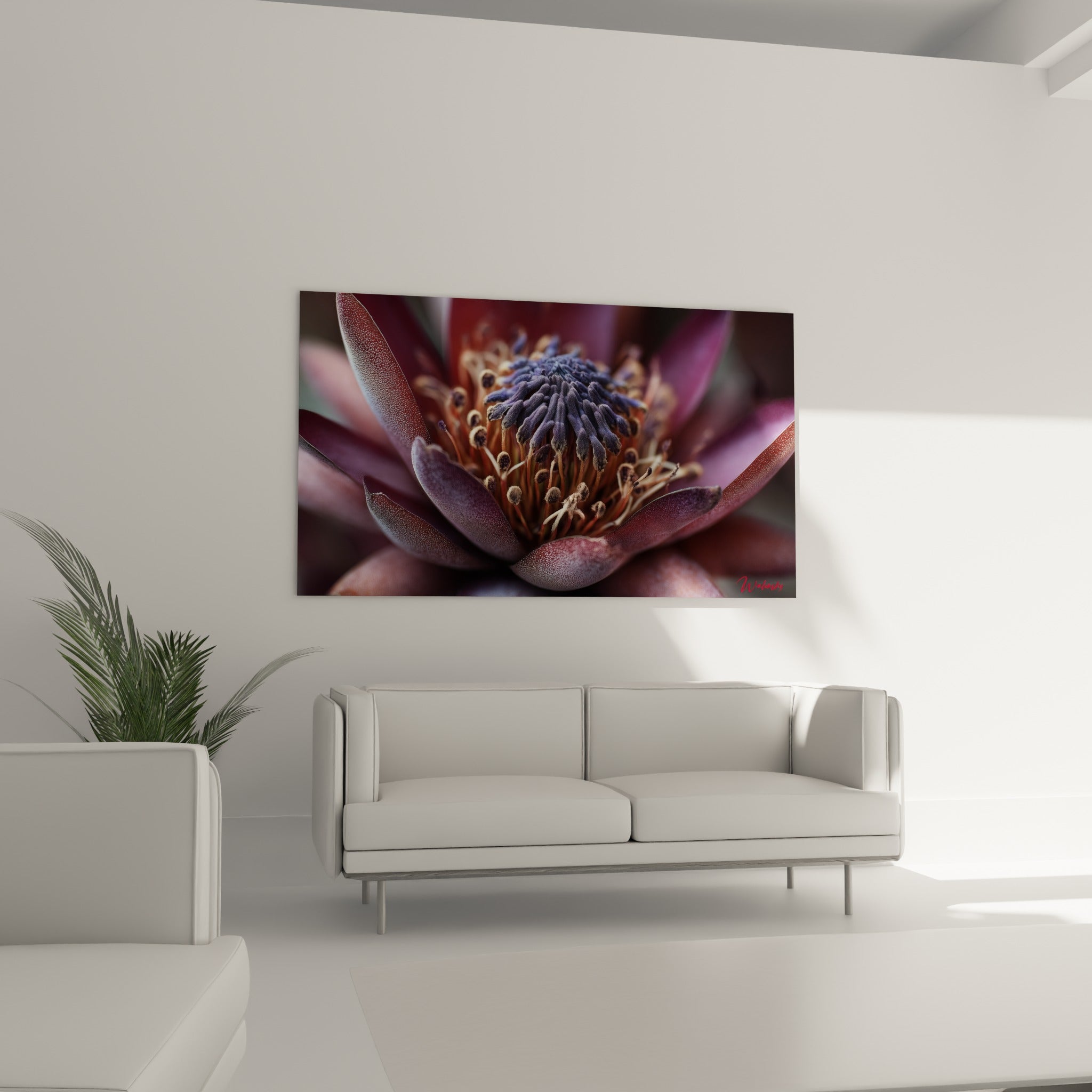 Pétales bordeaux et cœur pollinique violet d'une fleur au-dessus d'un canapé dans un salon lumineux