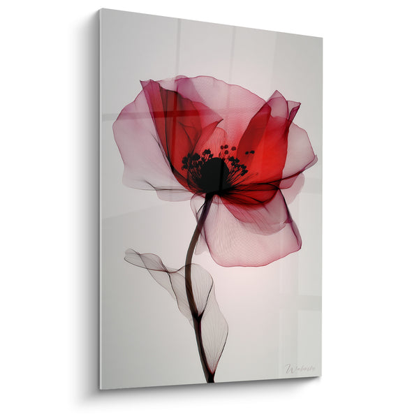 Red and Black Poppy Artwork on Light Grey Background - Unique Inclined Stem - Nature Flower Edition