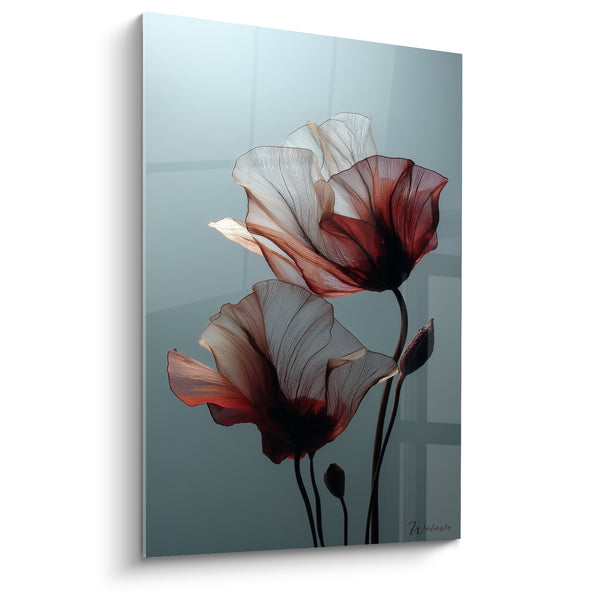 Tableau Coquelicots blancs et bordeaux aux tiges noires - Boutons fermés jumeaux - Edition fleur nature