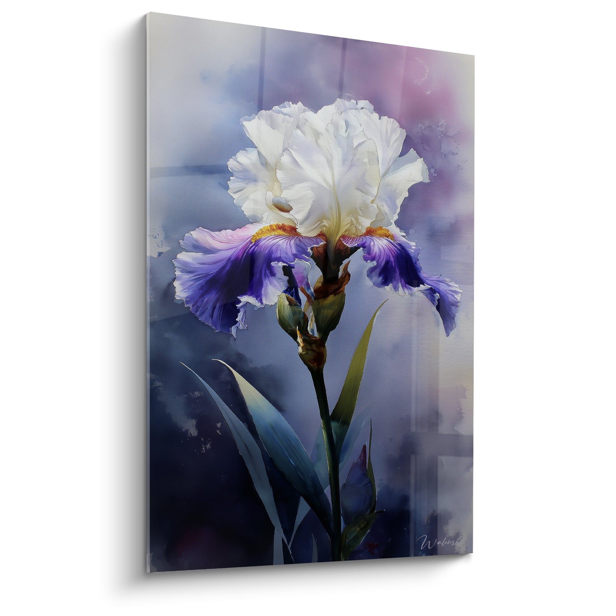 Iris blanc et violet aux pétales ondulés, cœur doré, fond bleu-mauve vaporeux