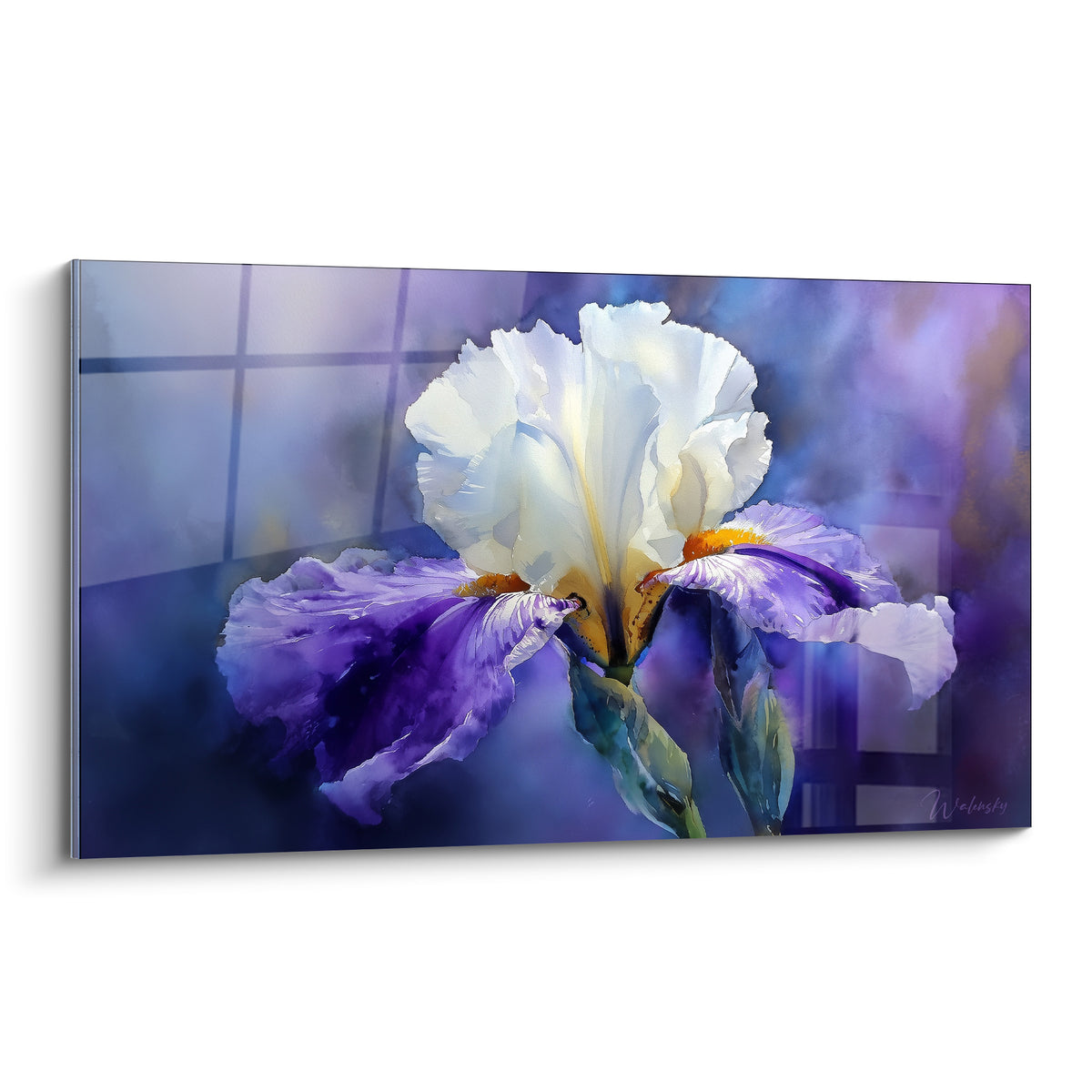 Iris blanc et violet peint en aquarelle sur fond bleu marine quadrillé, pétales lumineux et cœur ocre