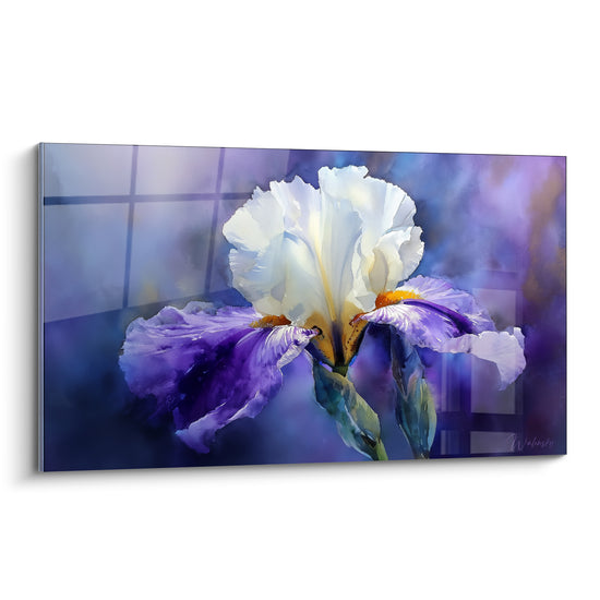Iris blanc et violet peint en aquarelle sur fond bleu marine quadrillé, pétales lumineux et cœur ocre