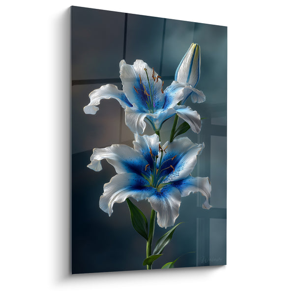 Tableau Lys blanc et bleu aux étamines cuivrées - Bouton fermé en attente - Edition fleur nature