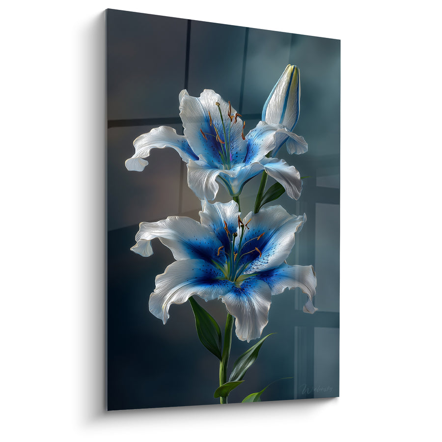 Tableau Lys blanc et bleu aux étamines cuivrées - Bouton fermé en attente - Edition fleur nature