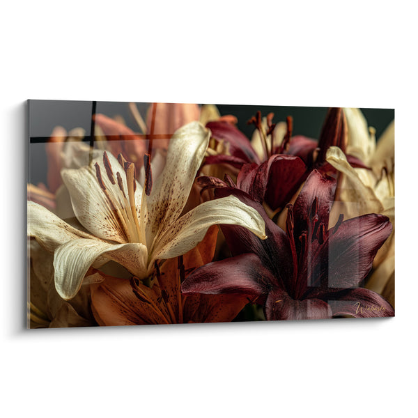 Tableau Lys ivoire et bordeaux aux pétales veloutés - Splendeur automnale - Edition fleur nature