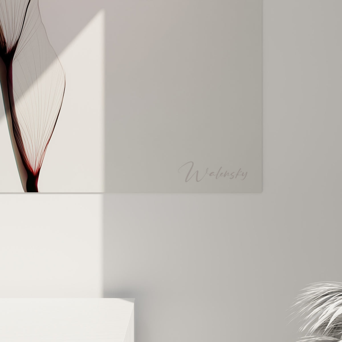 Nervures fines et noires traversant le pétale rouge, texture veloutée et fond blanc lumineux