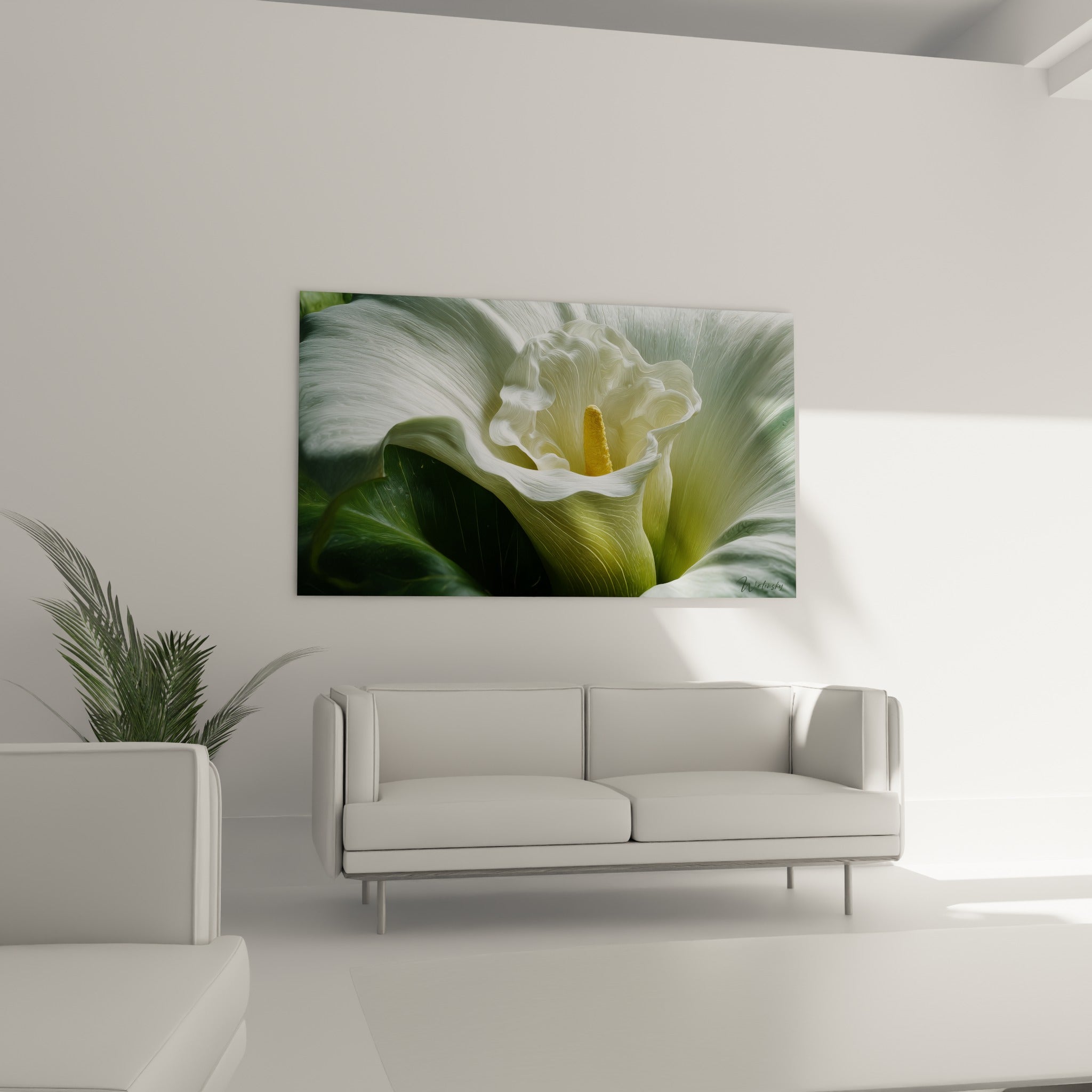 Pétale d'arum blanc et feuille verte profonde, disposés au-dessus d'un canapé dans un salon lumineux
