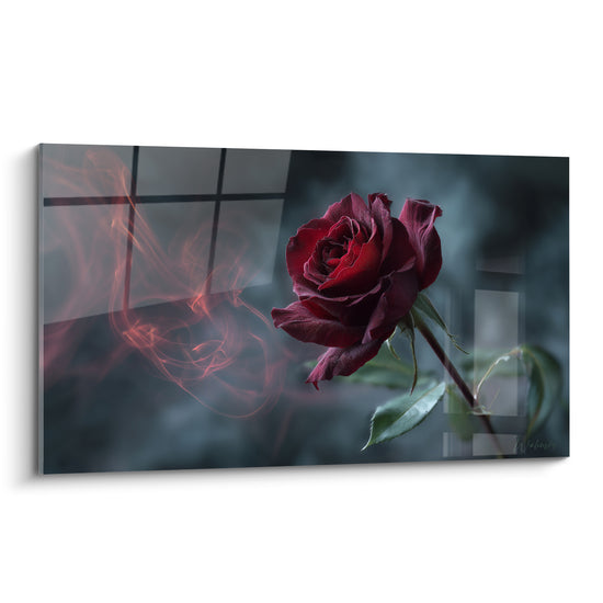 Rose bordeaux aux pétales veloutés et volute de fumée écarlate sur fond anthracite brumeux