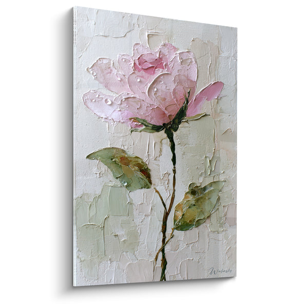 Tableau Rose rose pâle et vert sauge - Douceur épanouie - Edition fleur nature