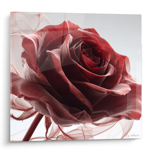 Tableau Rose rouge et blanche aux volutes filandreuses - Tige unique effilée - Edition fleur nature