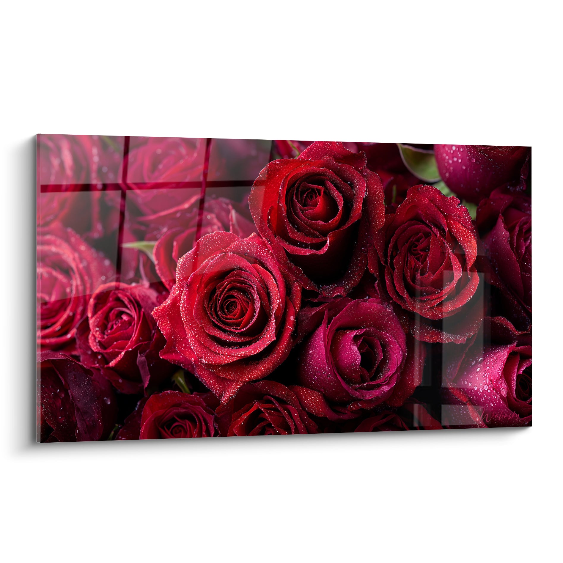 Roses rouges et bordeaux couvertes de gouttes de rosée en gros plan floral