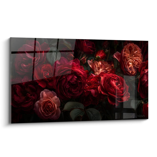 Tableau Roses rouge et pêche en clair-obscur - Passion nocturne - Edition fleur nature