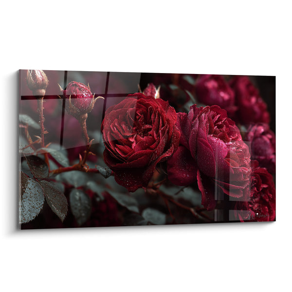 Tableau Roses rouge et grise couvertes de rosée - Boutons épineux au treillage - Edition fleur nature