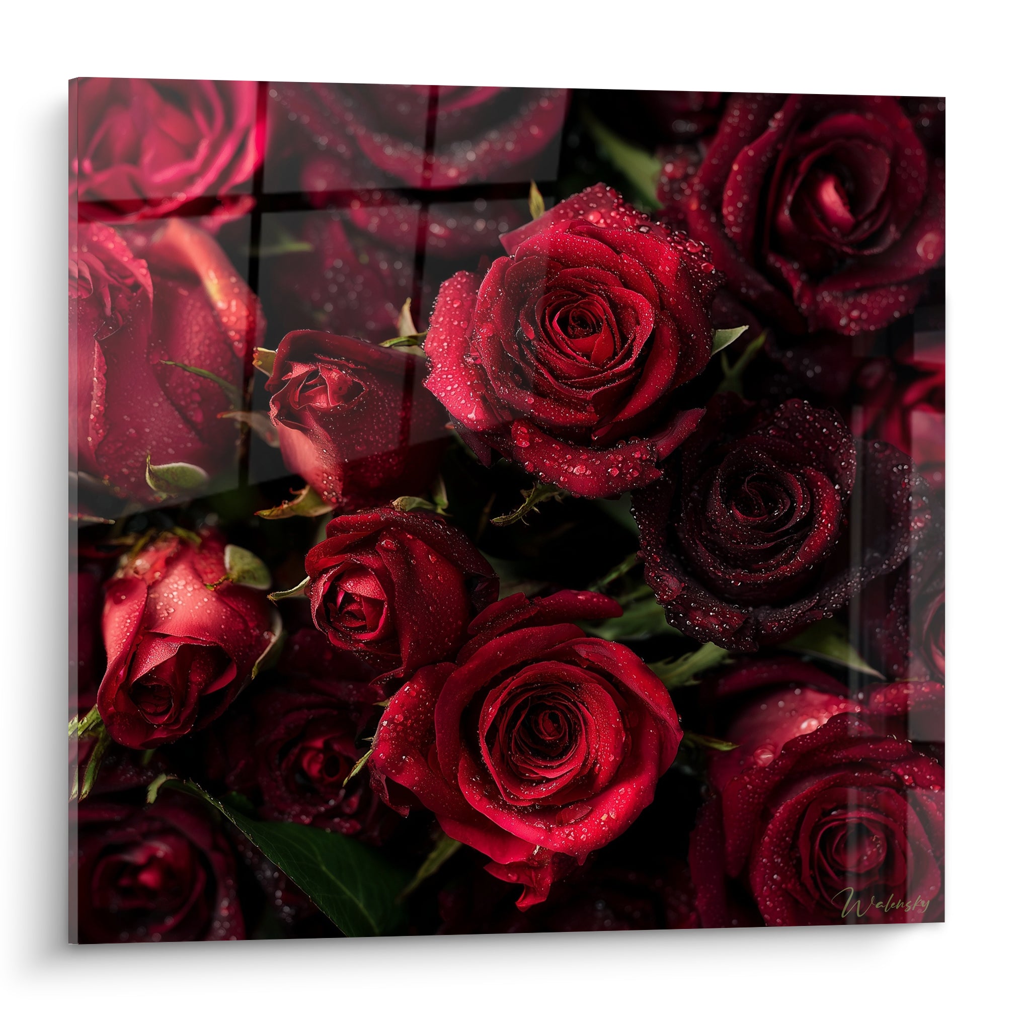 Roses rouges et bordeaux perlées de rosée en gros plan sur fond mosaïque sombre